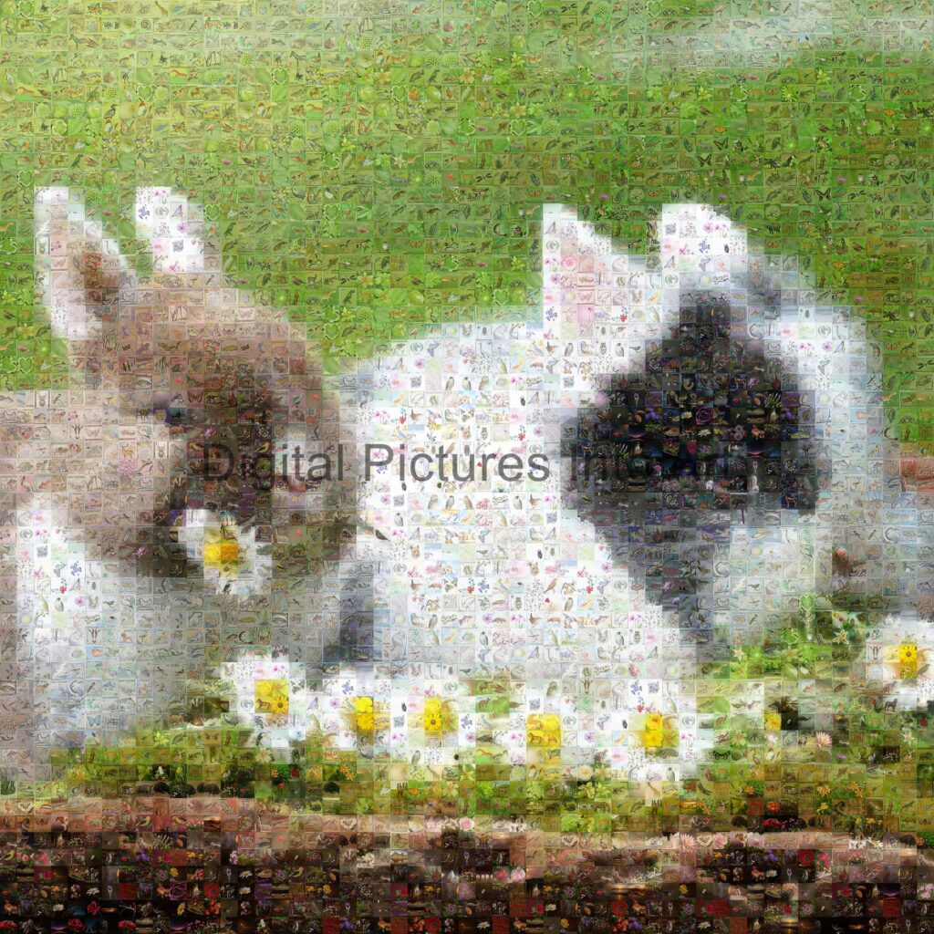 bunnies with flowers digital art