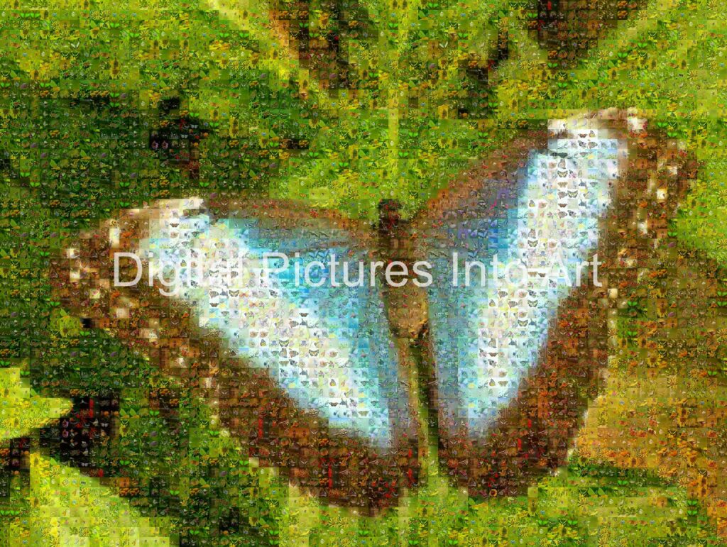brown and blue butterfly digital art