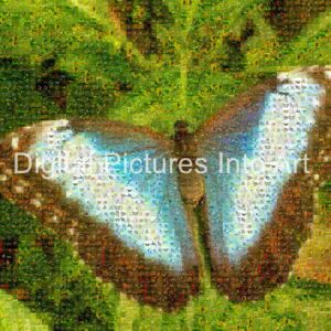 brown and blue butterfly digital art