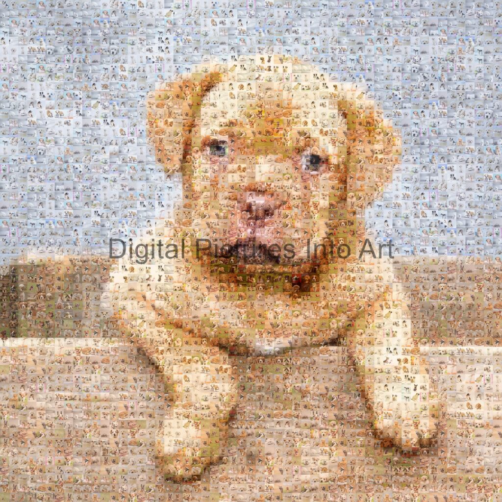 puppy digital art