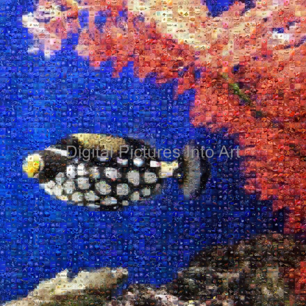 fish digital art