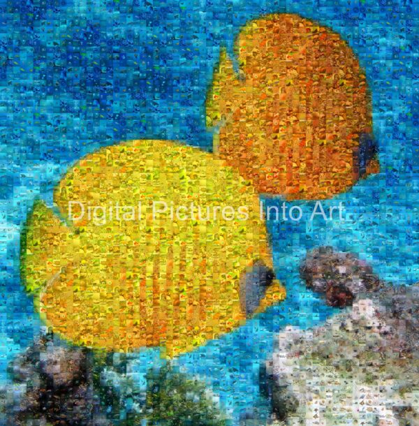 yellow fishes digital art