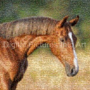 brown horse digital art