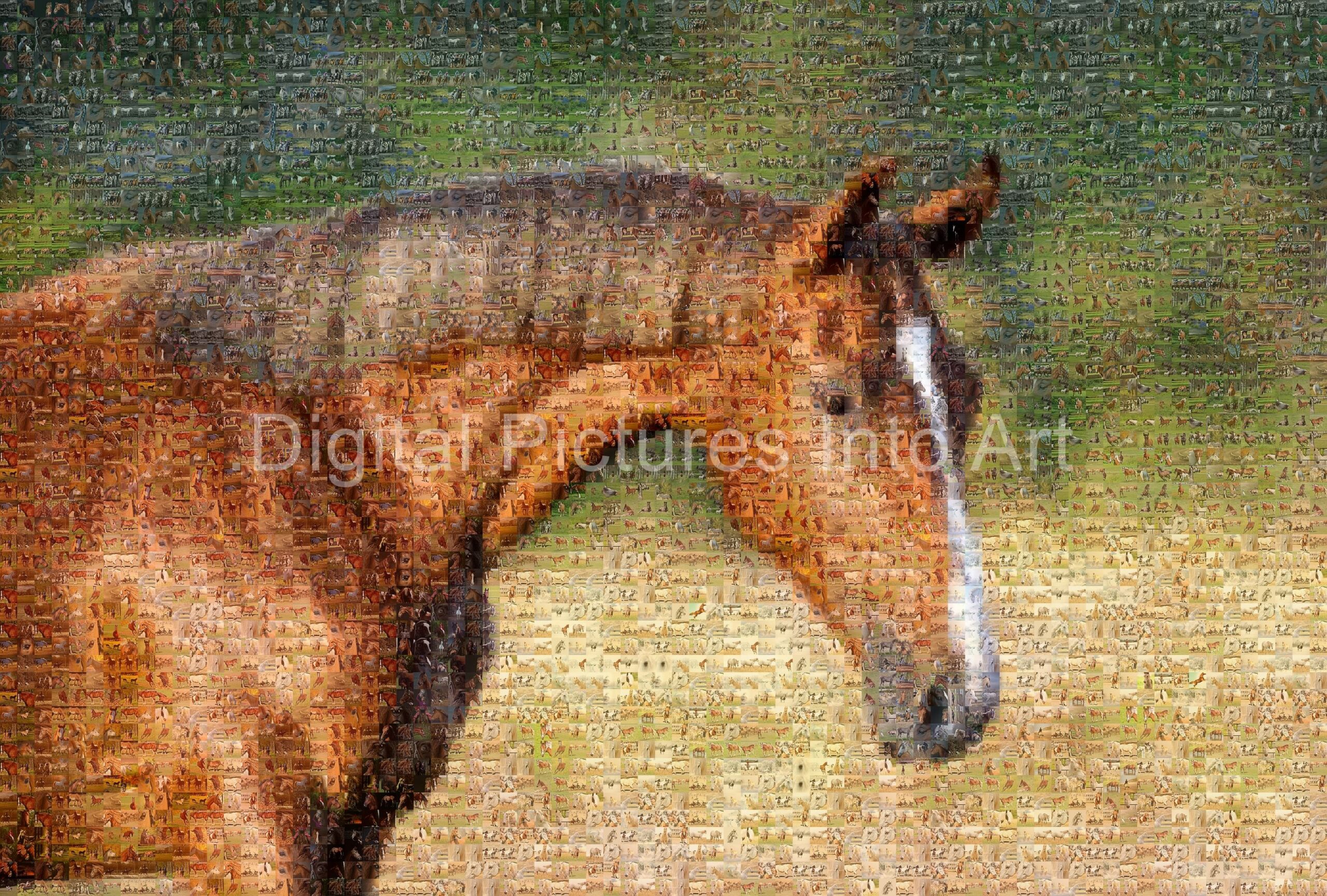 brown horse digital art