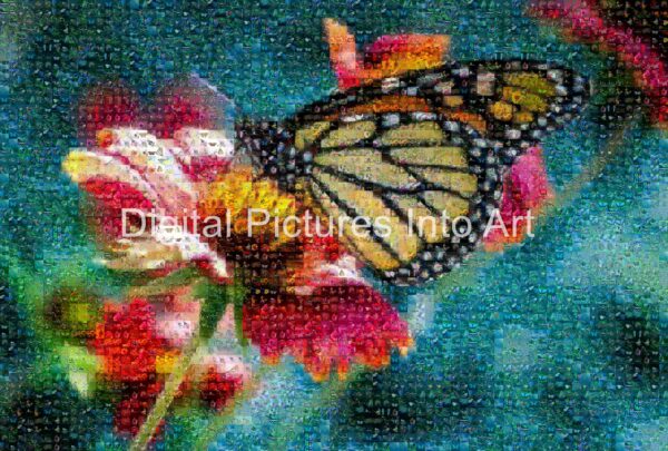 black and yellow butterfly digital art