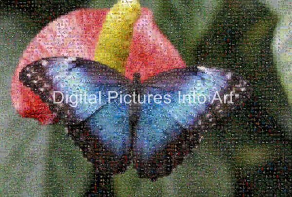 blue butterfly digital art