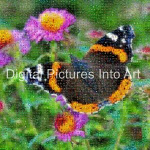 black and orange butterfly digital art