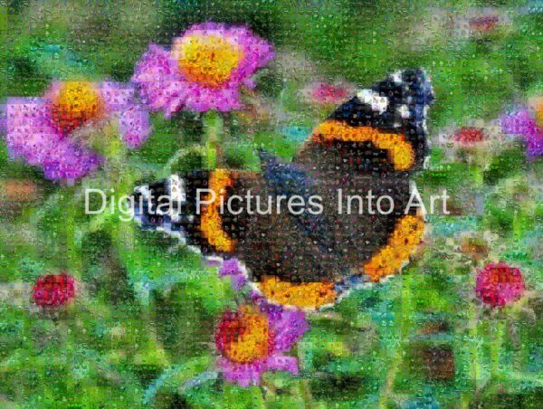 black and orange butterfly digital art