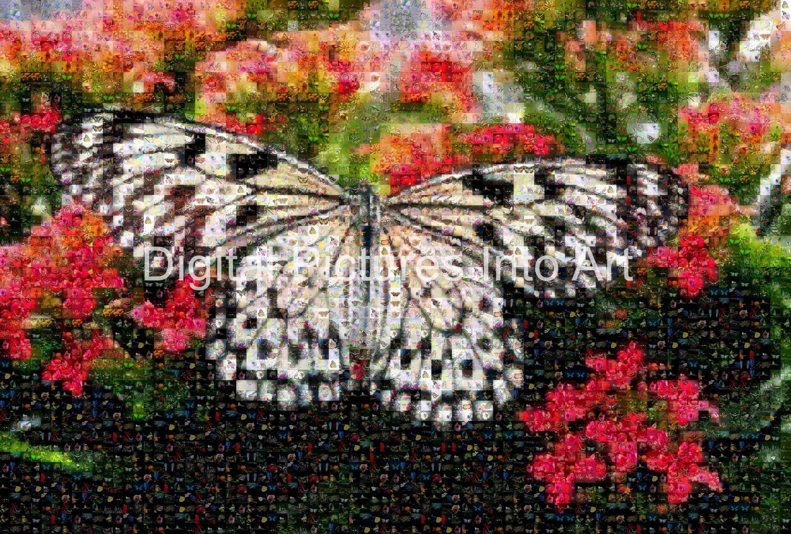 white and black butterfly digital art