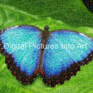 blue butterfly digital art