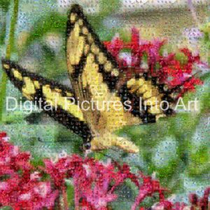 black and yellow butterfly digital art