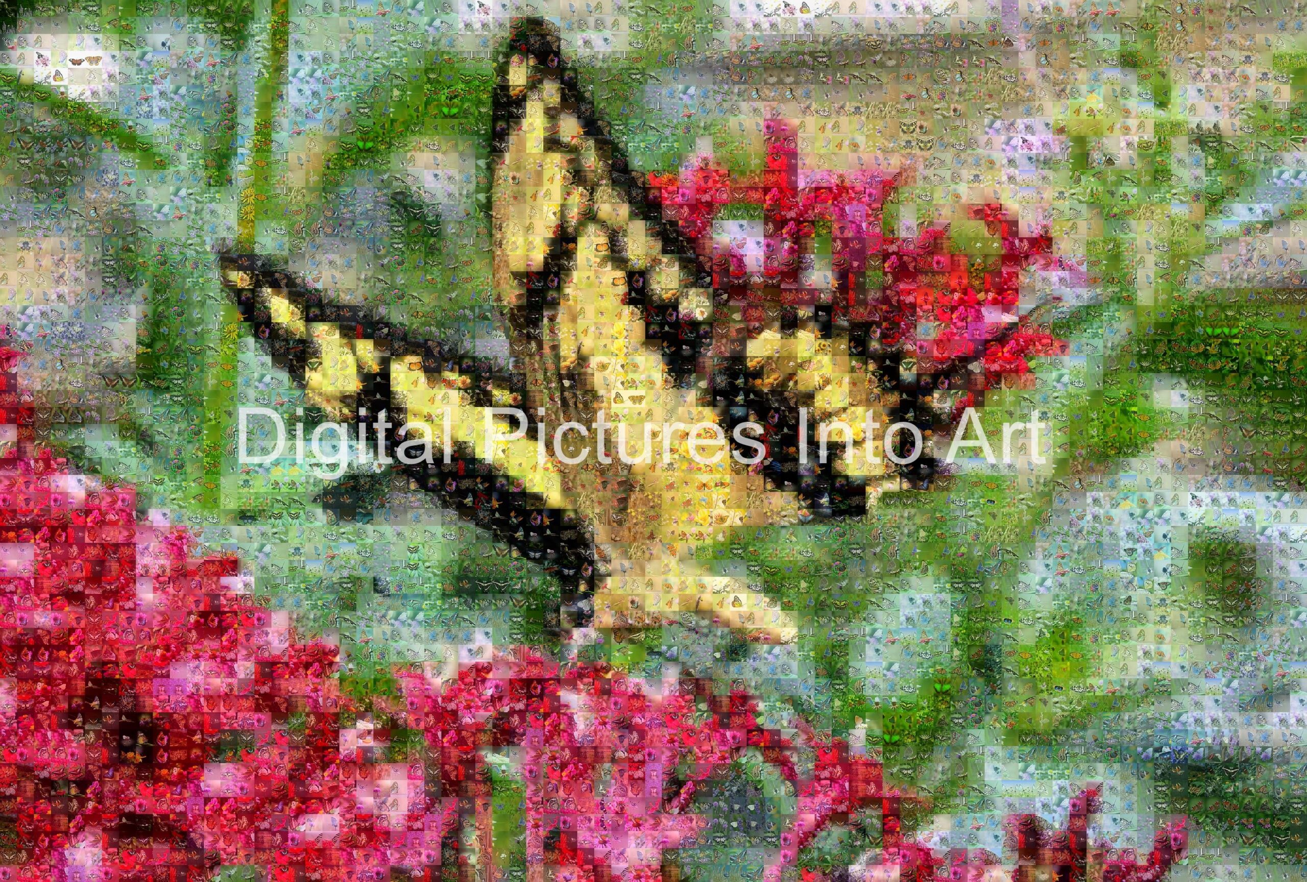 black and yellow butterfly digital art