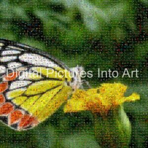 yellow butterfly digital art