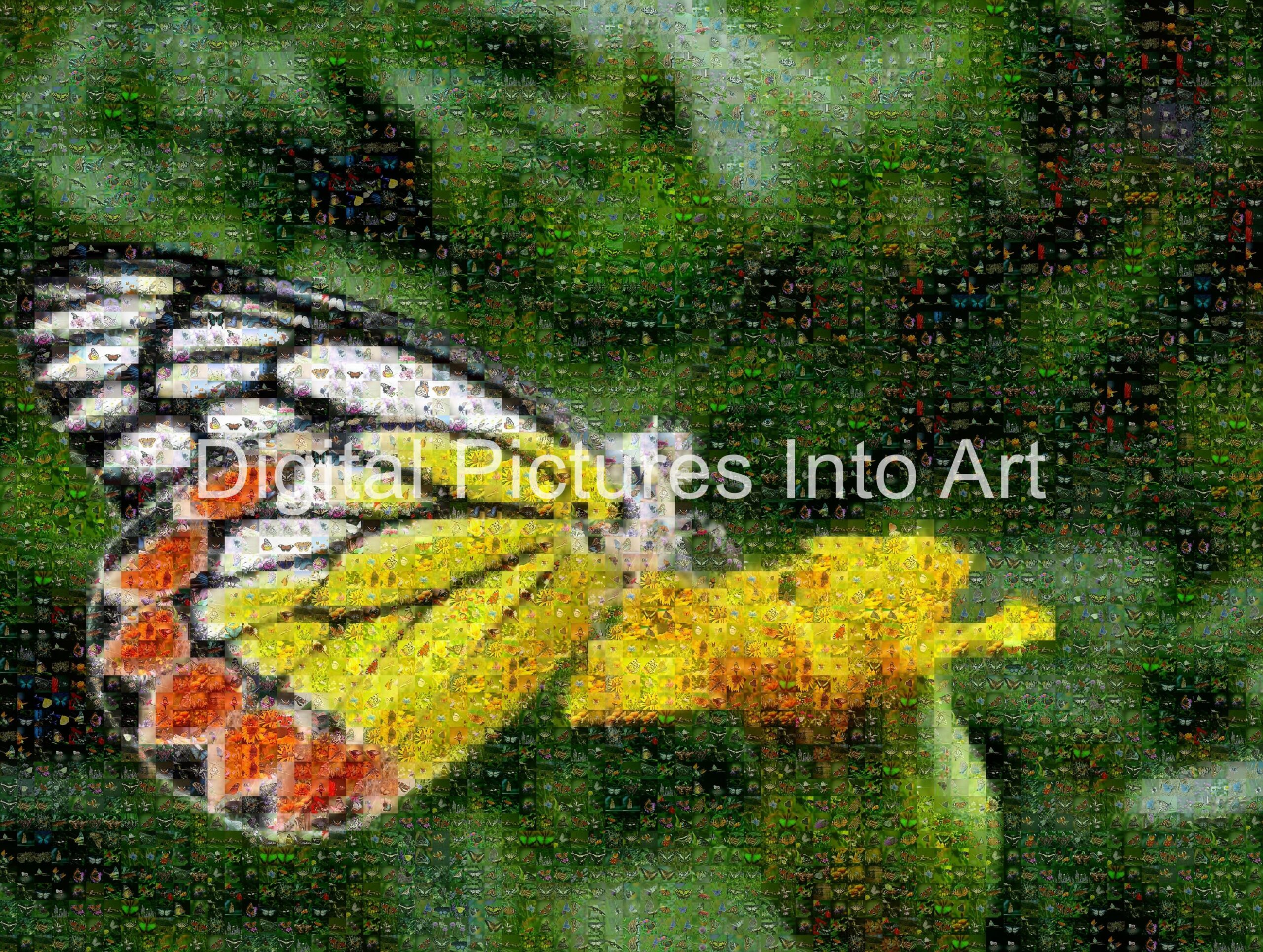 yellow butterfly digital art