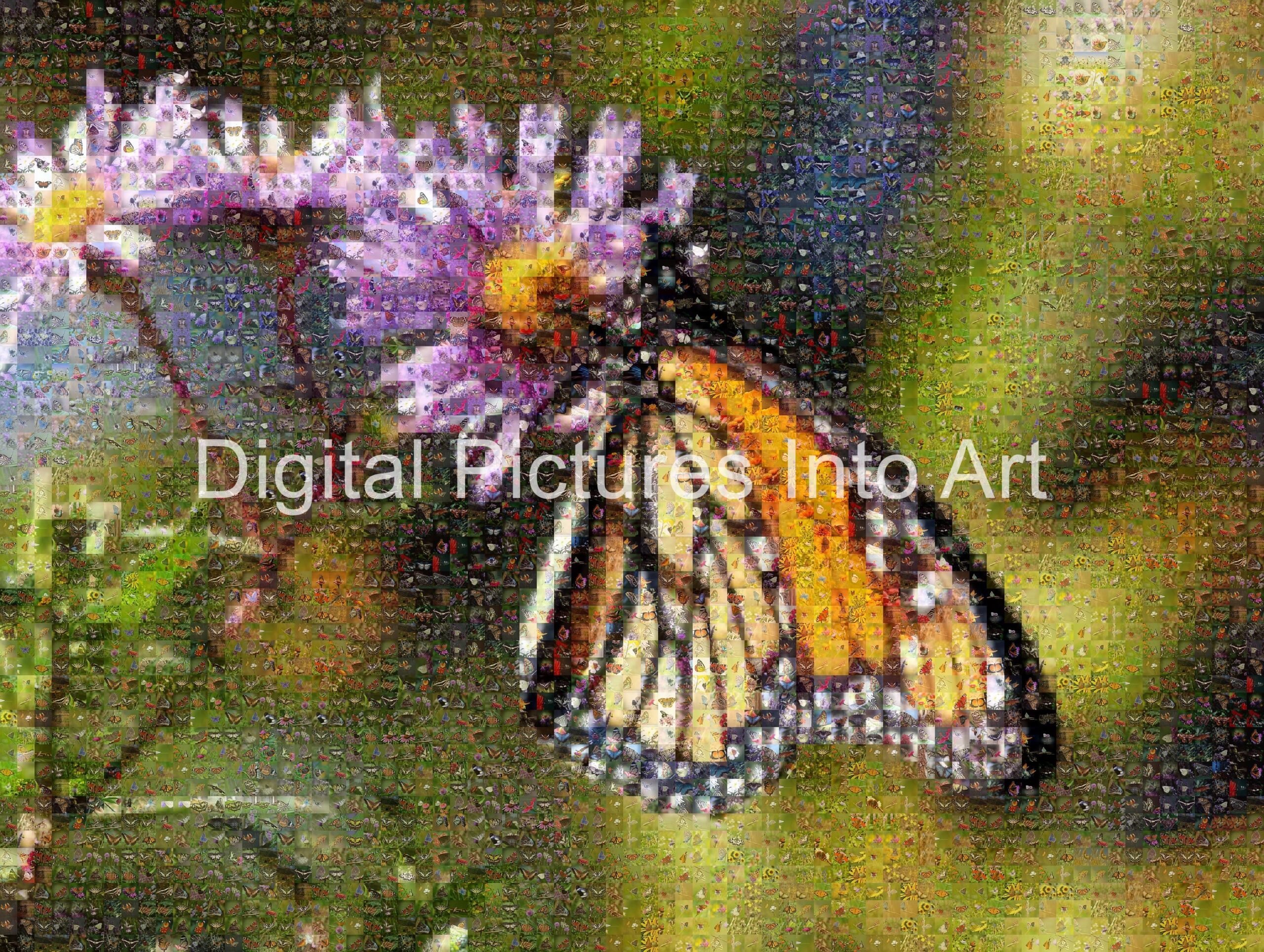 orange and yellow butterfly digital art