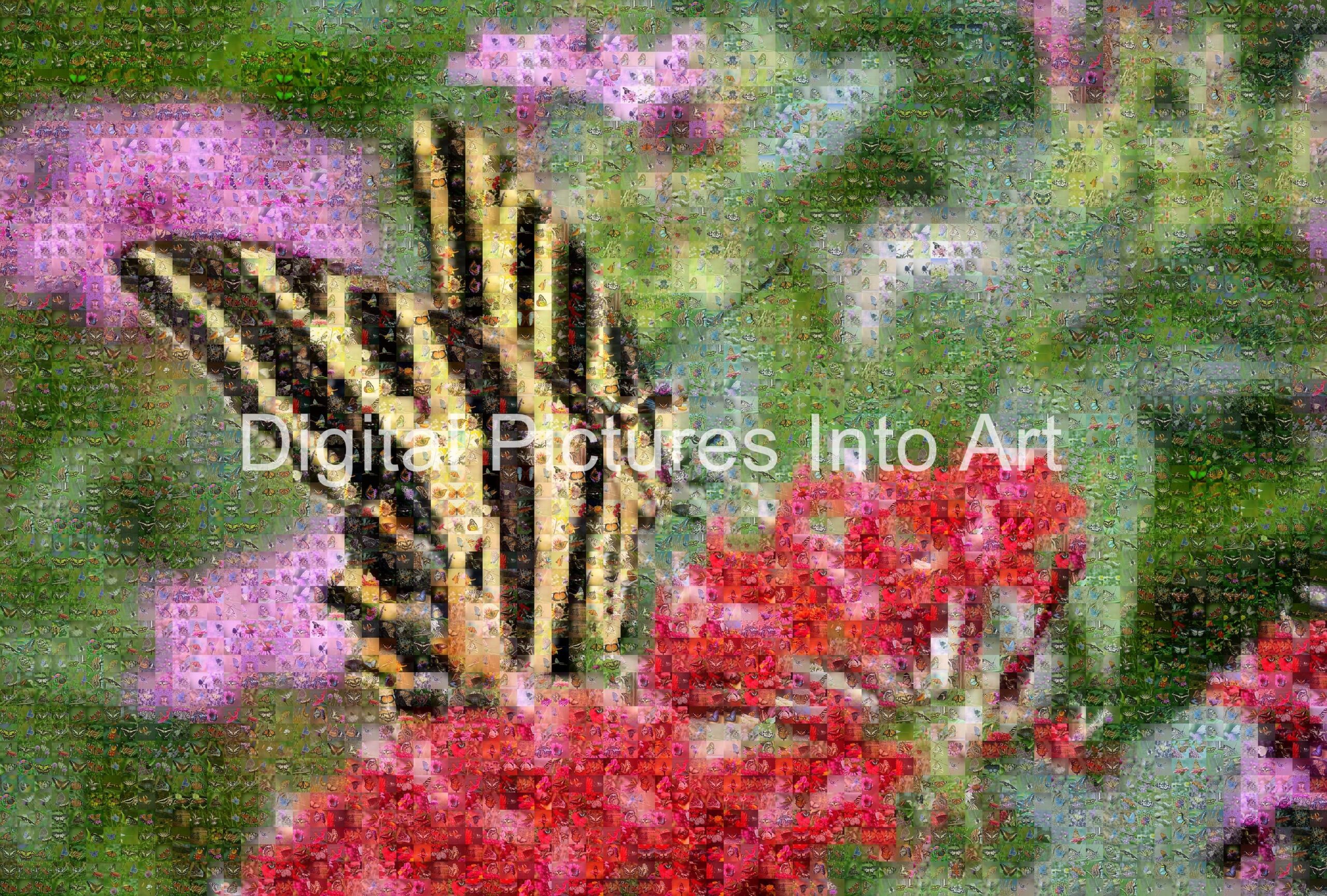 black and yellow butterfly digital art