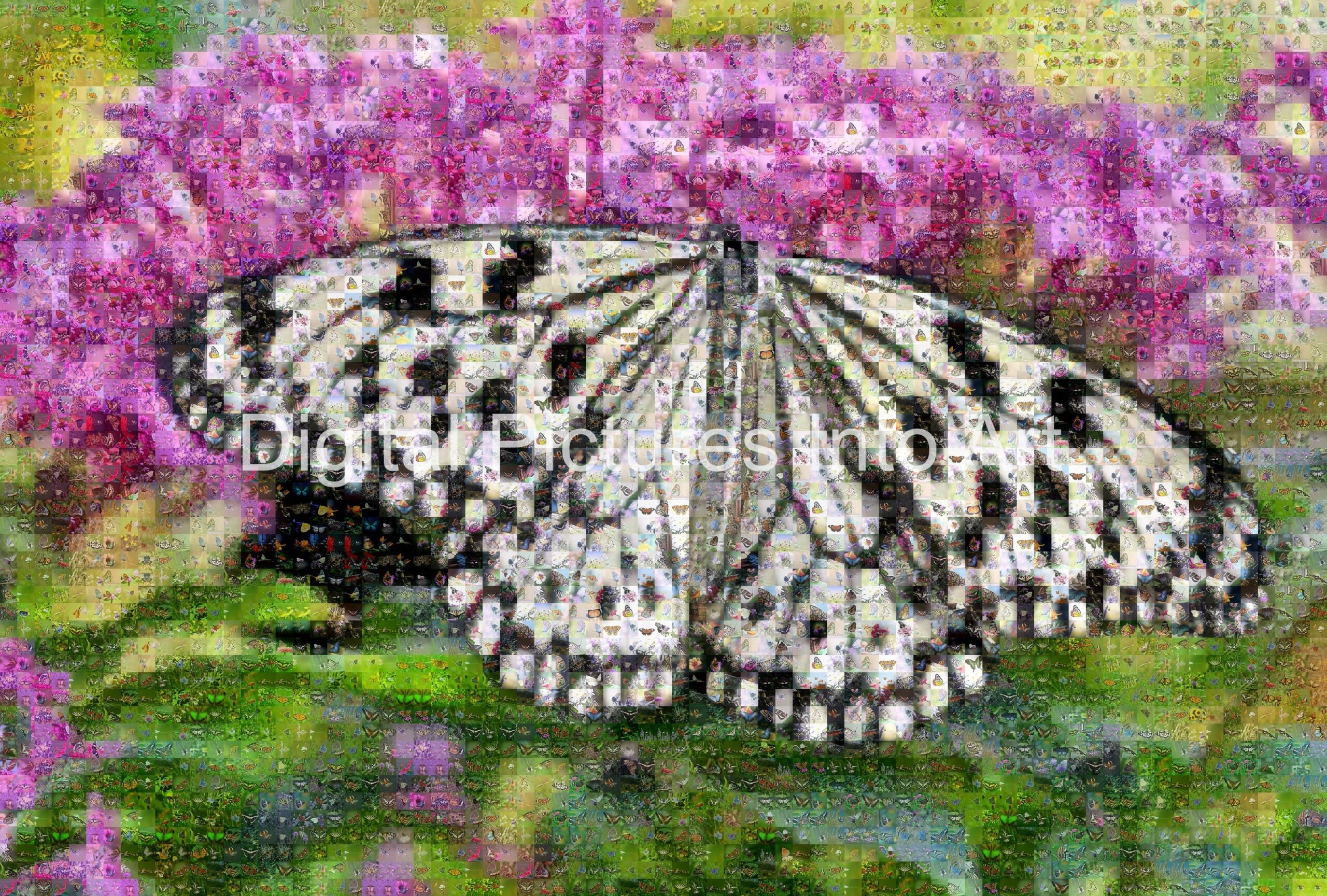 black and white butterfly digital art