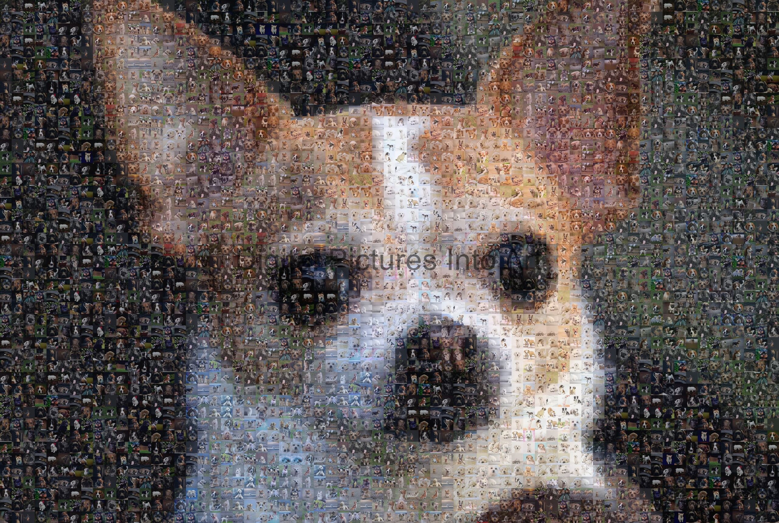 chihuahua digital art