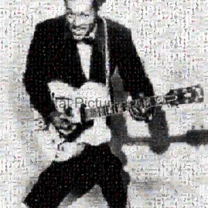 Chuck Berry digital art