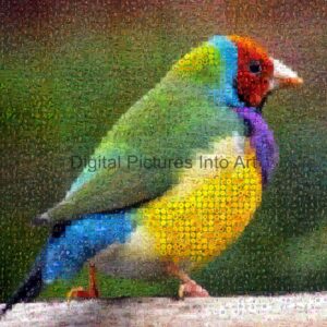 colorful bird digital art