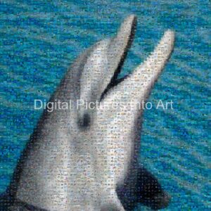 dolphin digital art