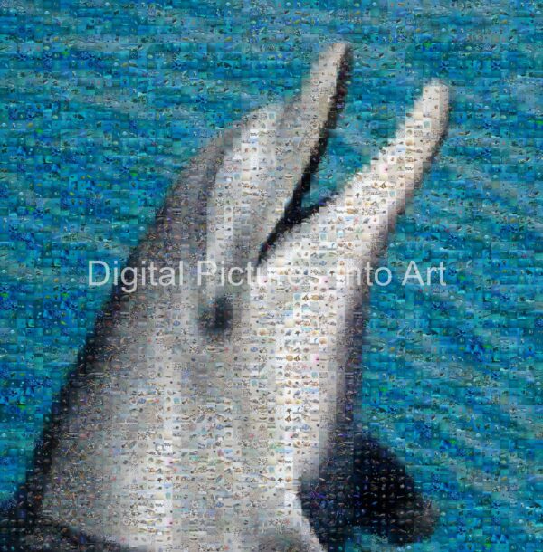 dolphin digital art