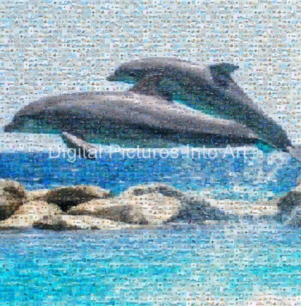 dolphins swimming digital art