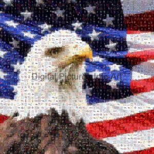 US flag and eagle digital art