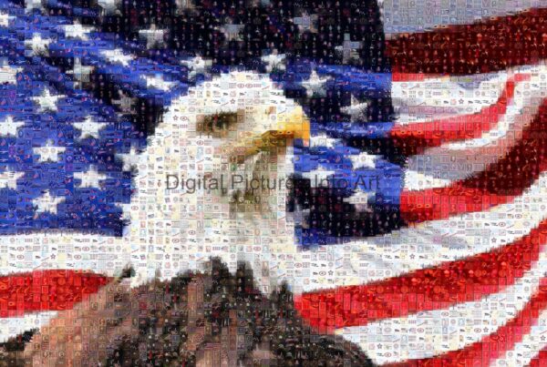 US flag and eagle digital art