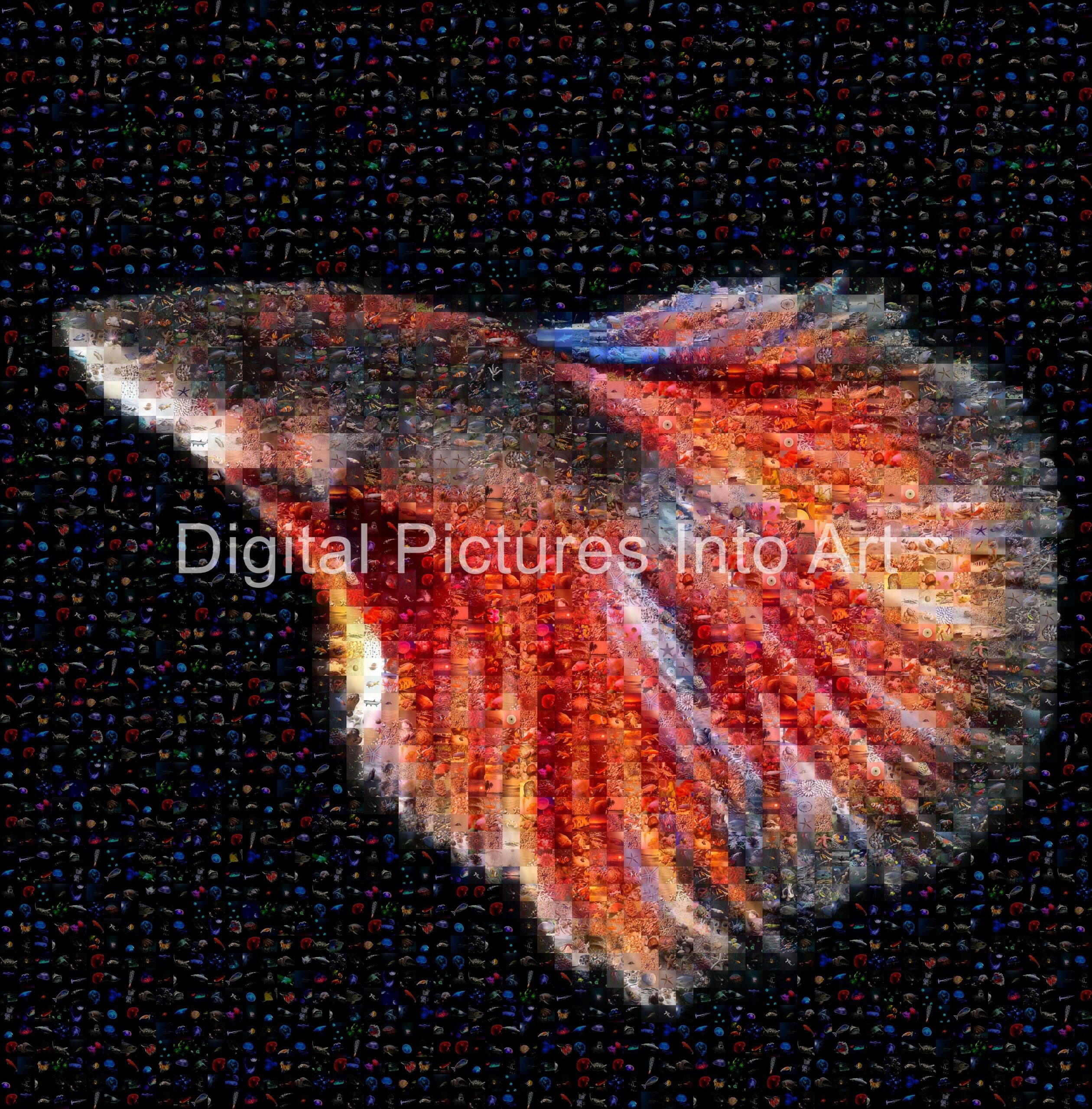 fighting fish digital art