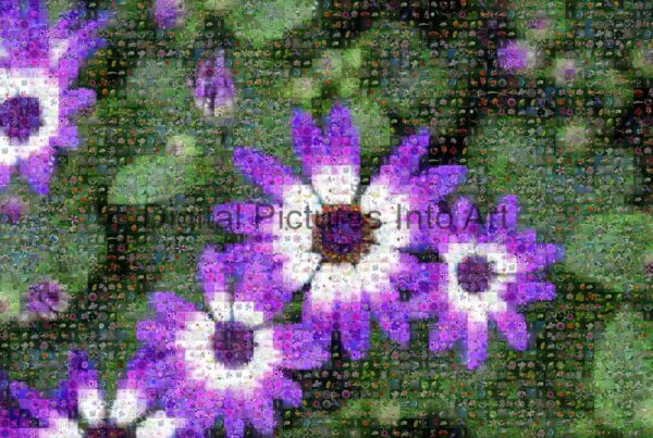 purple flowers digital art