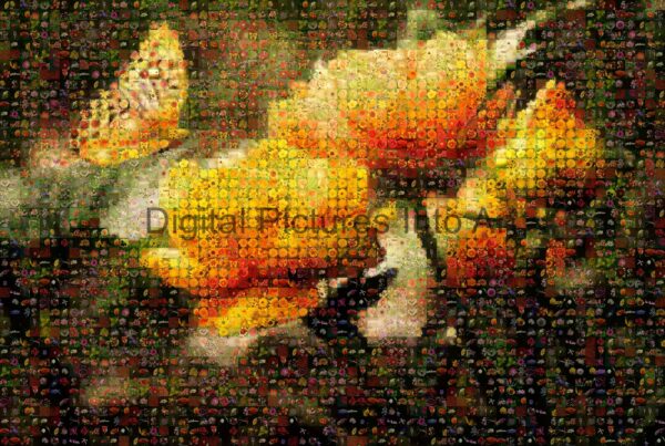 yellow and orange flowers digital art