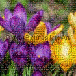 purple and yellow flowers digital art