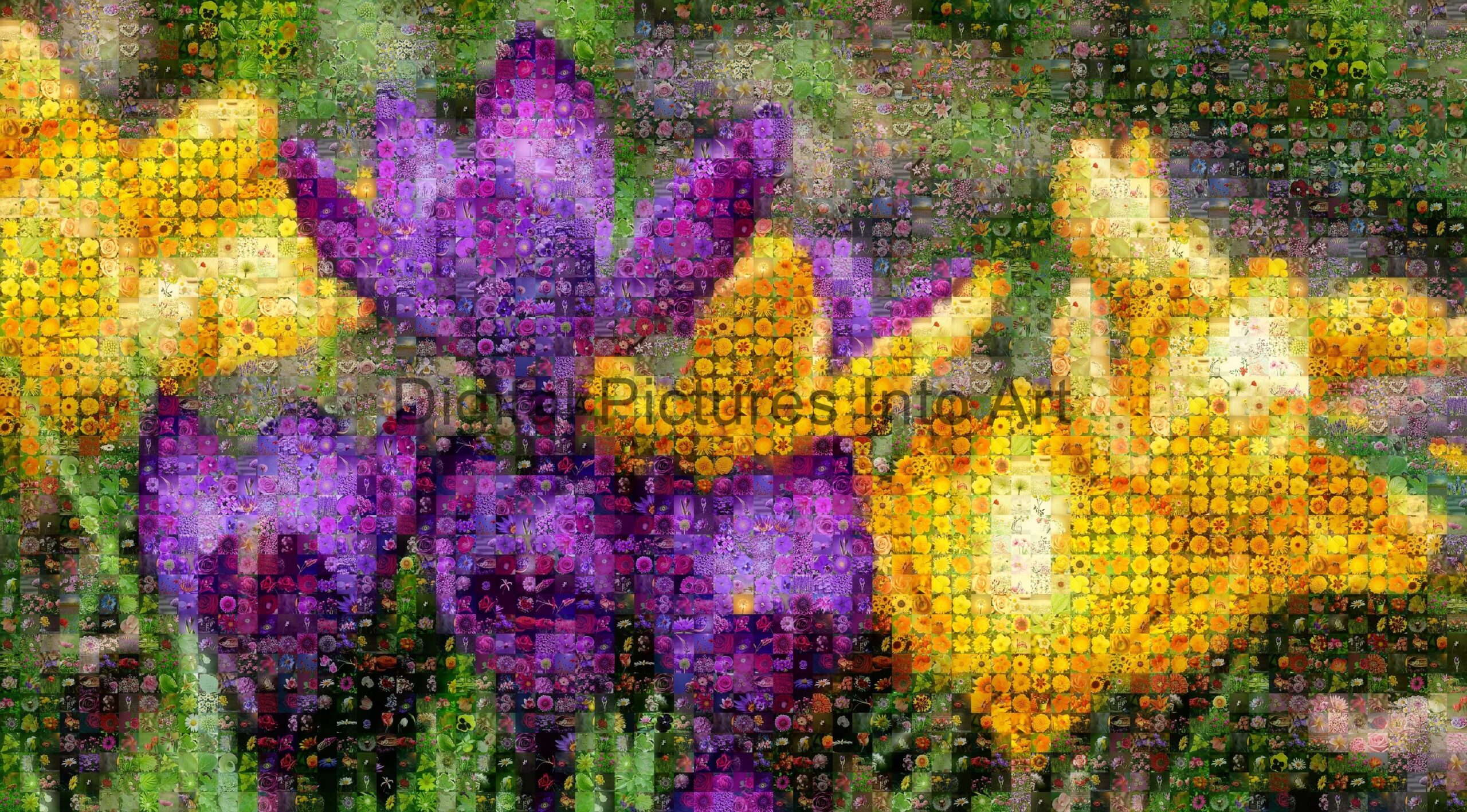 purple and yellow flowers digital art