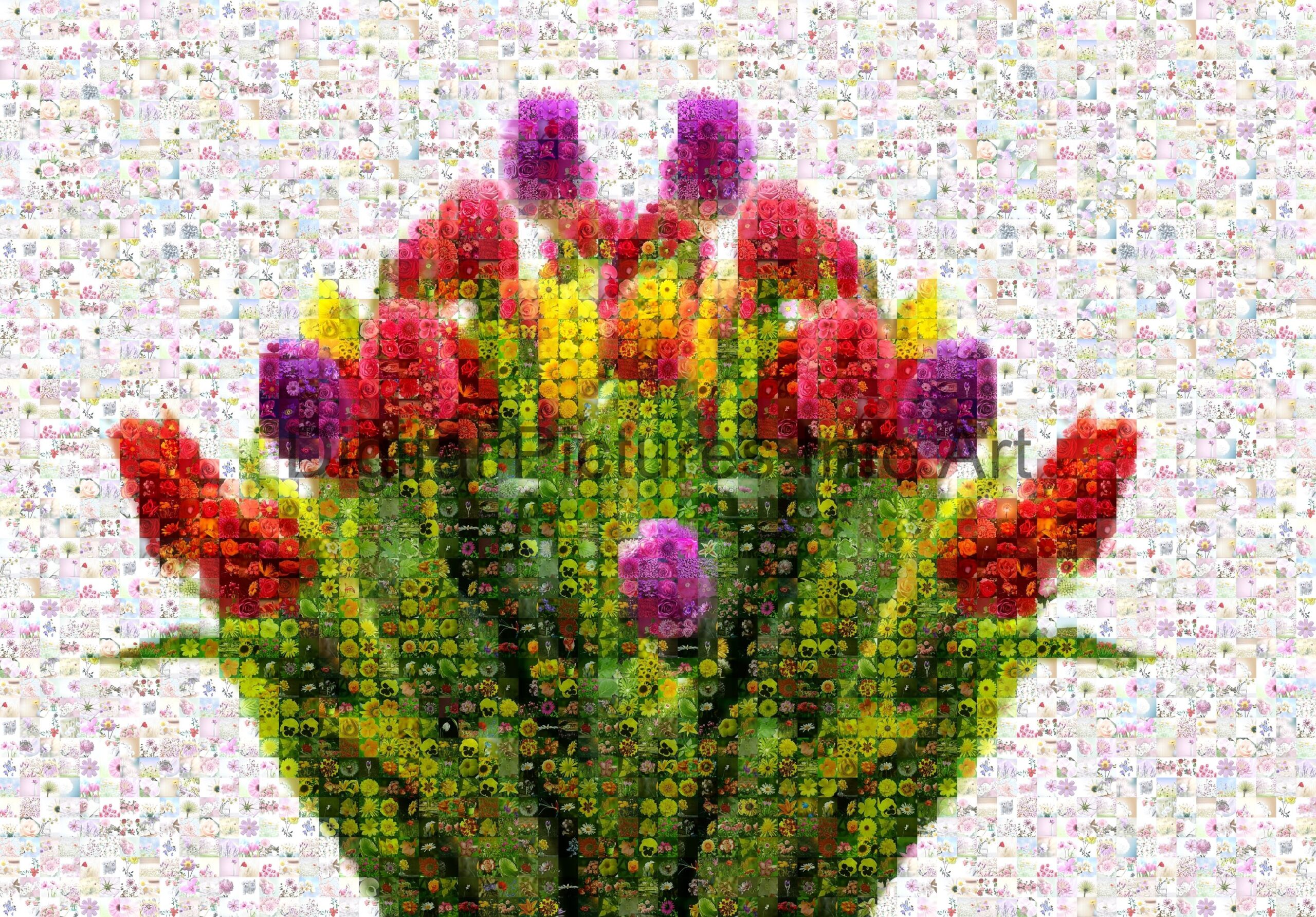 colorful tulips digital art