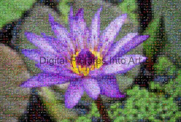 violet flowers digital art