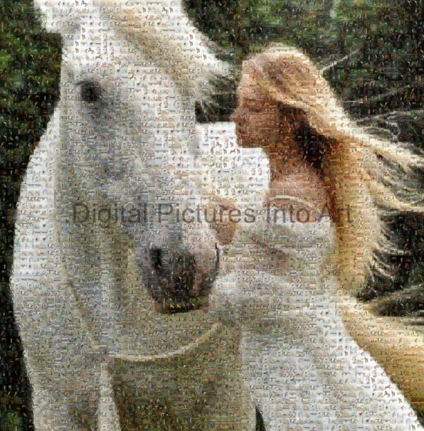 white horse and blonde girl digital art