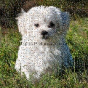 white puppy digital art