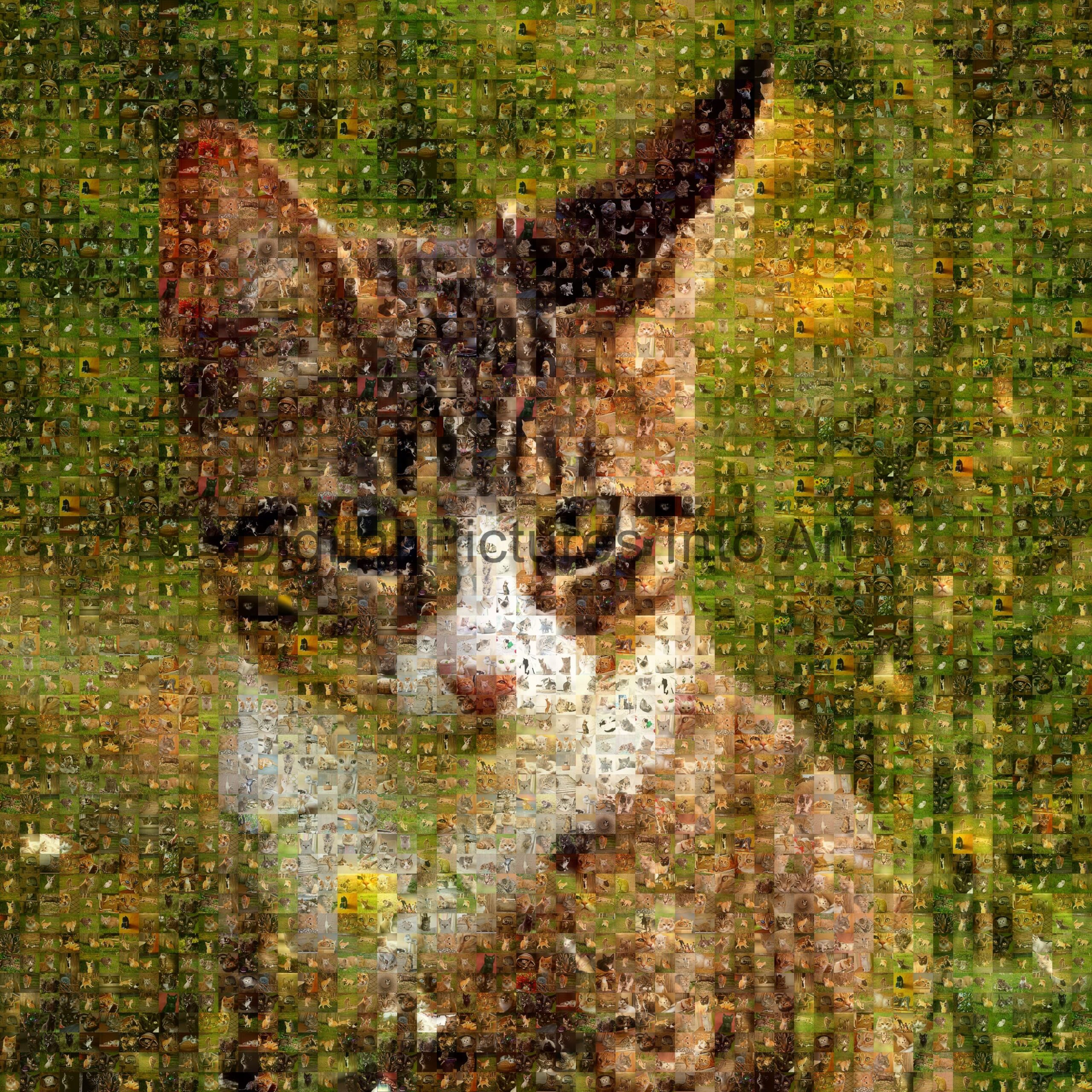 brown cat digital art