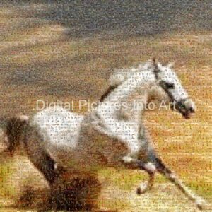 white horse running digital art