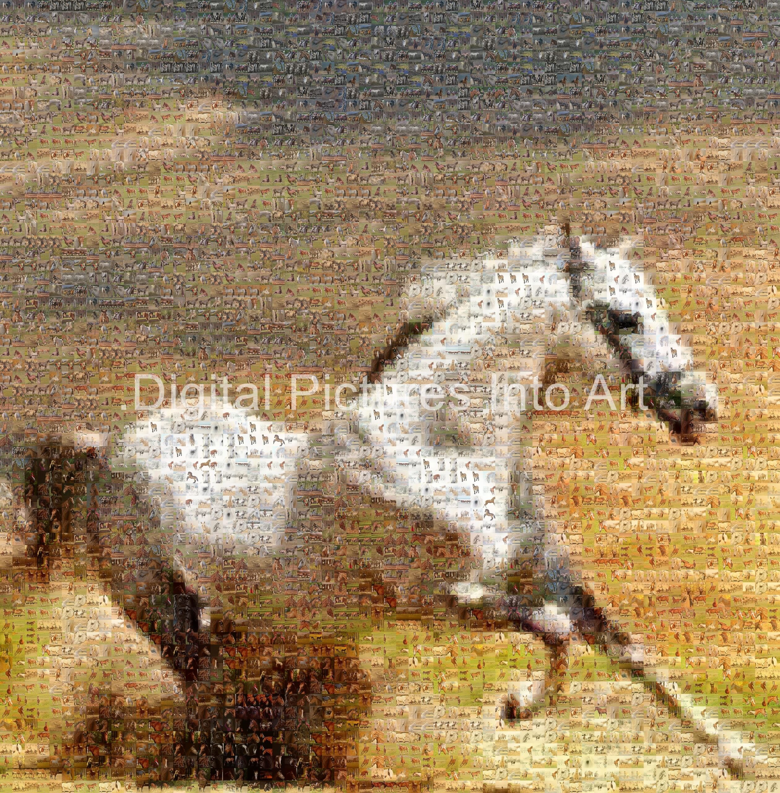 white horse running digital art