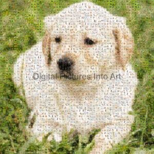light brown puppy digital art
