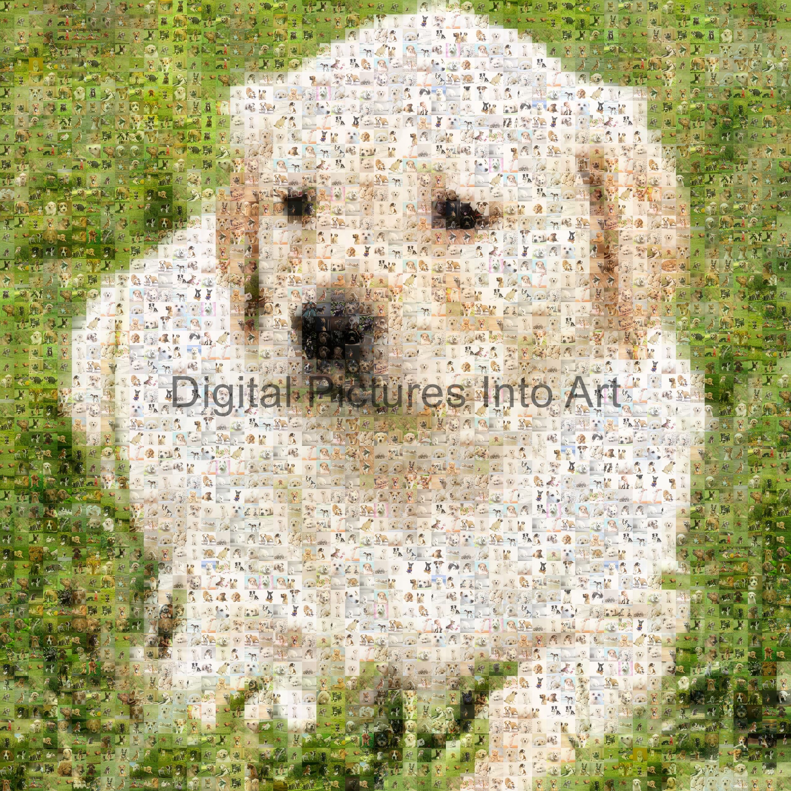 light brown puppy digital art