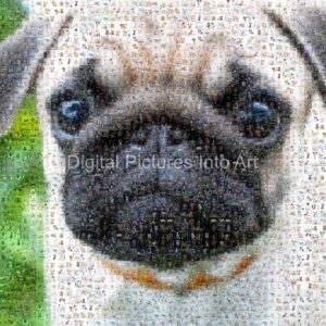 brown pug digital art