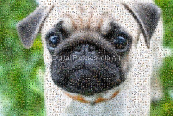 brown pug digital art