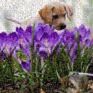 flowers and puppy digital art