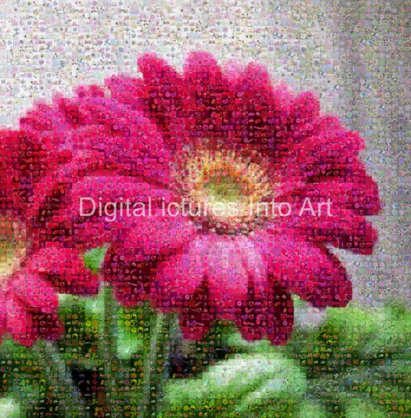 pink flower digital art