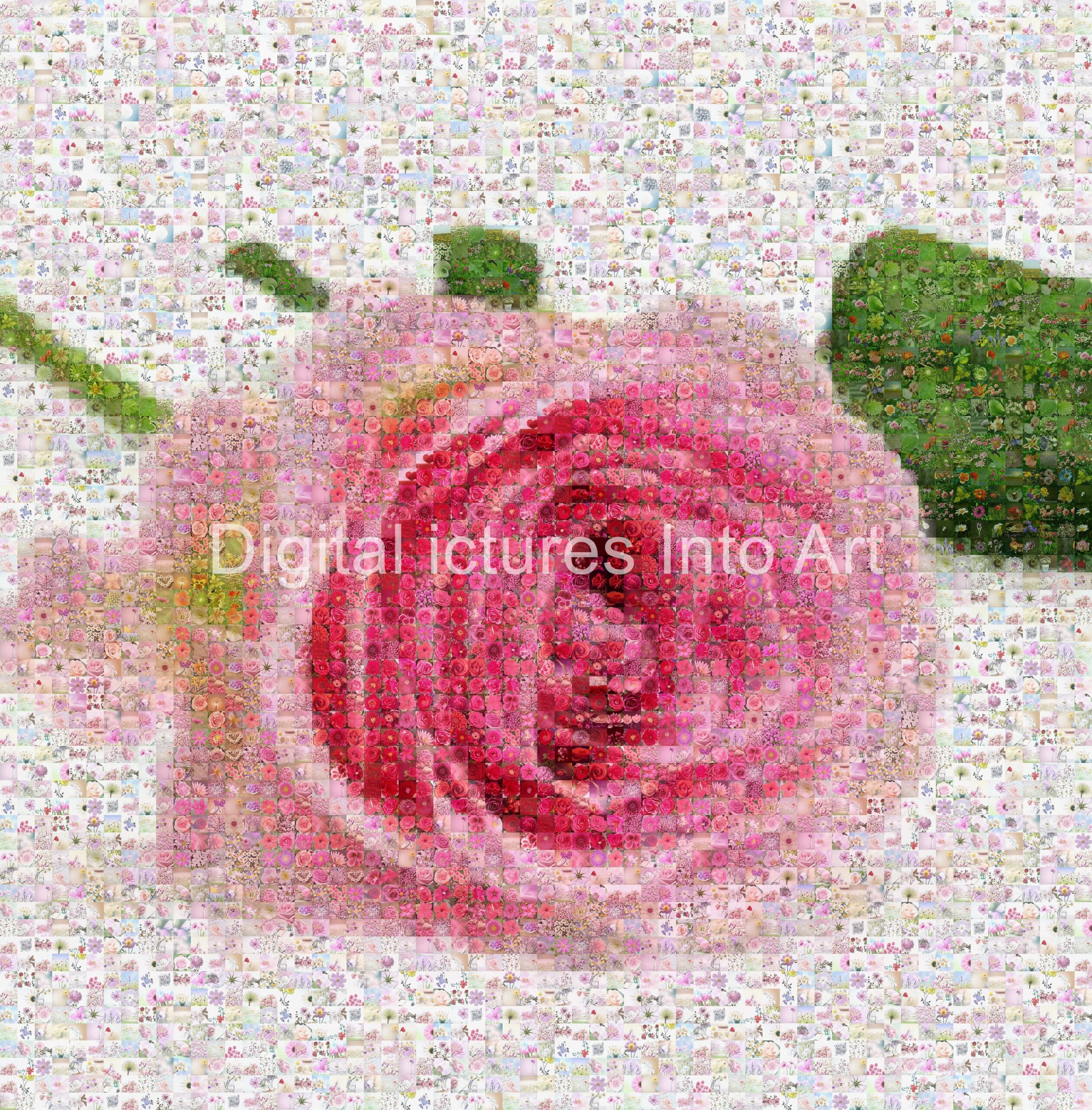 pink rose digital art