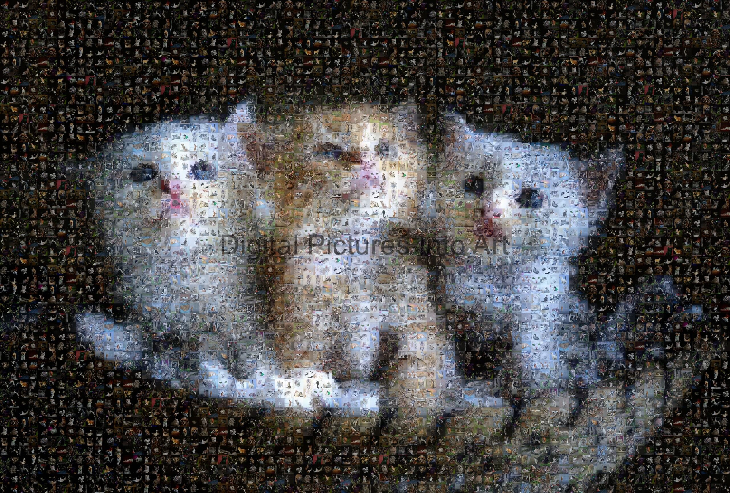 three kittens digital art