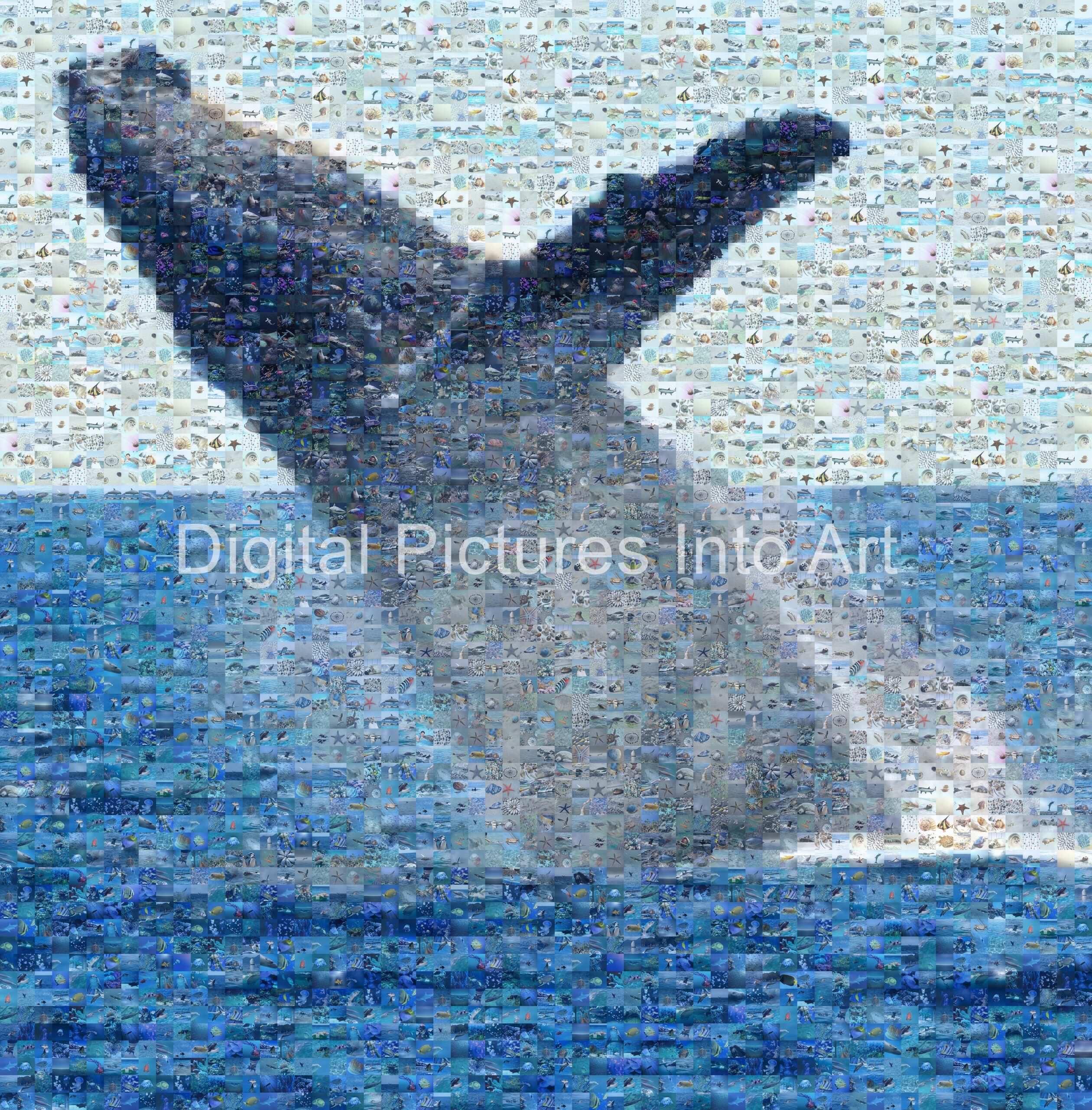 whale digital art